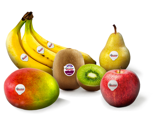 varias etiquetas adhesivas personalizadas para productos